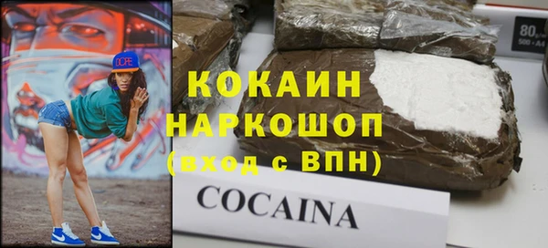 сатива Аркадак