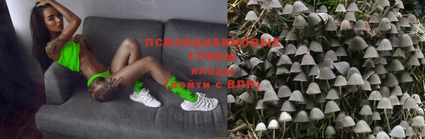дурь Арсеньев