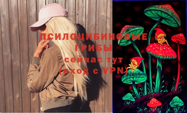 дурь Арсеньев